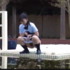 Thumbnail of related posts 194
